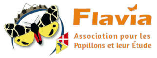 Logo Flavia APE